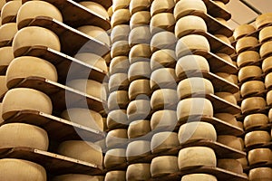 Process of making parmigiano-reggiano parmesan cheese on small cheese farm in Parma, Italy, factory maturation room for aging of