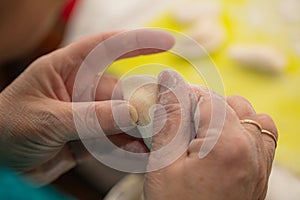 Process of making ukrainian national food dumplings