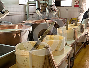 Process of making wheels of parmigiano-reggiano parmesan cheese on small cheese farm in Parma, Italy