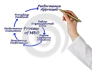 Process of MBO photo