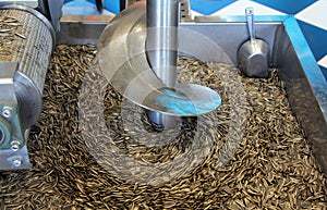 Process of mechanical drying of sunflower seeds