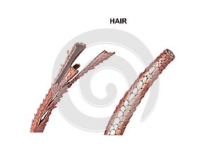 Process of nutrition and hair strengthening, lamination, botox