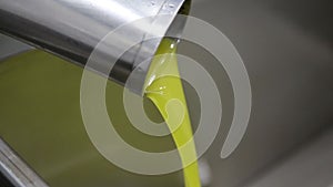 The process of olive cleaning and defoliation in a modern italian oil mill. Oil Production. Fresh extra virgin olive oil