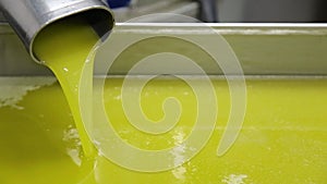 The process of olive cleaning and defoliation in a modern italian oil mill. Oil Production. Fresh extra virgin olive oil