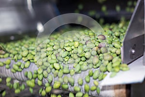 The process of olive washing in a modern oil mill