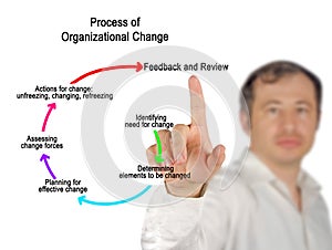 Process of Organizational Change