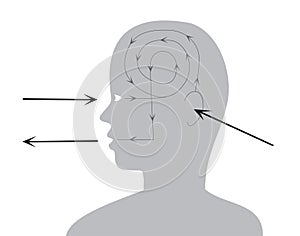 Process of perception and reac