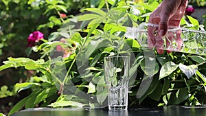 Process of pouring clean fresh water into the glass.Birds sing.Woman pouring water against green morning garden leaves,flowers