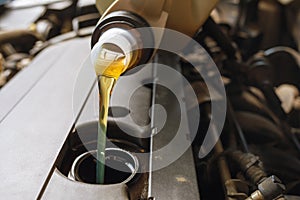 The process of pouring engine oil into the engine close-up