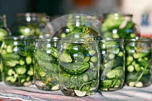 The process of preparation of salty cucumbers for canning, Ukraine photo
