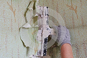 The process of removing old worn out unattractive green from the wall with the help of available tools and a spatula, hands,