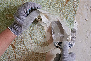 The process of removing old worn out unattractive green from the wall with the help of available tools and a spatula, hands,