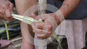The process of removing stalks  to leave only the bark  prepared for weaving reed mat , handmade thai style