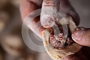 The process of sculpting dumplings
