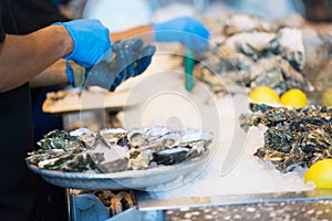 Process of shucking oysters