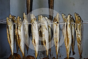 The process of smoking fish in a traditional smokehouse