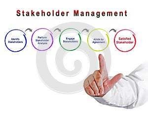 Process of Stakeholder Management