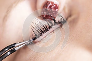 The process of styling eyelashes by a beauty master close-up