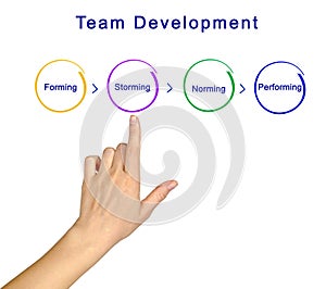 Process of Team Development photo