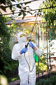 The process of treating plants with pesticides. Farmer in protective suit and mask walking trough orchard with pollinator machine