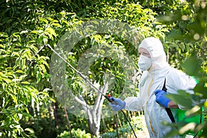 The process of treating plants with pesticides. Farmer in protective suit and mask walking trough orchard with pollinator machine