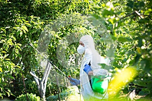 The process of treating plants with pesticides. Farmer in protective suit and mask walking trough orchard with pollinator machine