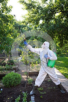 The process of treating plants with pesticides. Farmer in protective suit and mask walking trough orchard with pollinator machine