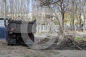 The process of truck removal of cut branches