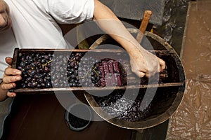 Process of wine making homemade winery with oak barrel and wooden grater blue grape squeezing