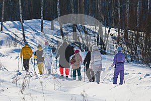 Process of winter hiking in Scandinavia, landscape view of a finnish wilderness with a group of tourists with trekking sticks