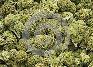 Processed medical marijuana