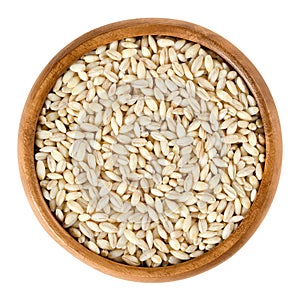 Processed pearl barley in wooden bowl over white