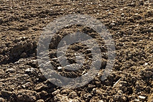 Processed plowed fertile soil in the field