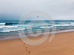 Incredible view . sea view. australian beach. footsteps photo