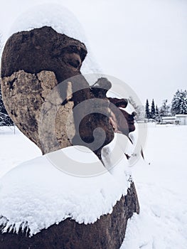 Statue. Head. Snow. photo