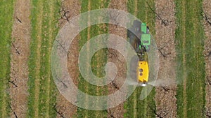 Processing of an apple orchard. A green tractor in an apple orchard. Spraying the garden with a tractor. Tractor sprays