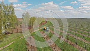 Processing of an apple orchard. A green tractor in an apple orchard. Spraying the garden with a tractor. Tractor sprays