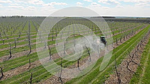 Processing of an apple orchard. A green tractor in an apple orchard. Spraying the garden with a tractor. Tractor sprays