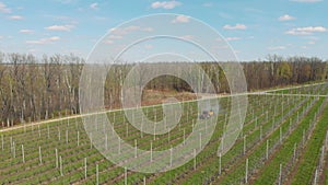 Processing of an apple orchard. Red tractor in the apple orchard. Spraying the garden with a tractor - video from the