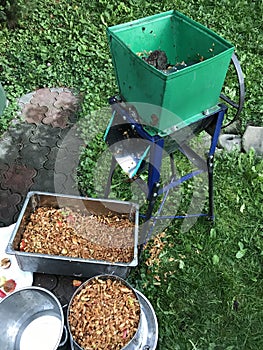 Processing of apples for juice production.