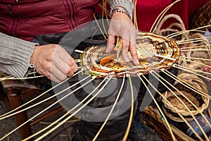 Processing baskets in wicker or weeping willow tree with flexible branches