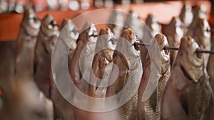 Processing dried fish at a fish factory. Fish drying. fish seafood factory