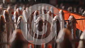 Processing dried fish at a fish factory. Fish drying. fish seafood factory