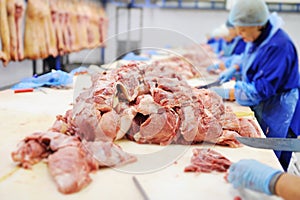 Processing of meat at a meat-packing plant. Food industry