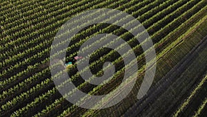 Processing spraying apple orchard tractor aerial view