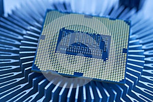 Processor on a computer, software elements, macro photo