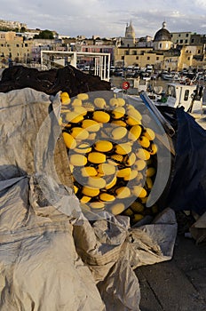 Procida, 13/3/2020,  Procida`s touristic harbour