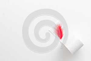 Proctology concept with toilet paper roll and red feather on white background top view copyspace