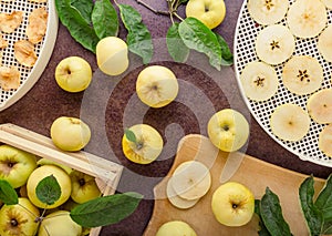 Procurement of dried fruits. Fresh apples cut into thin slices and dry fruits on dark table