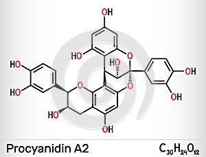 Procyanidin A2, proanthocyanidin A2 molecule. It is natural product, used in urinary tract infection prevention. Structural